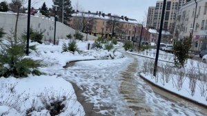 Какая у нас погода | Любимый Краснодар | #мирувлечений