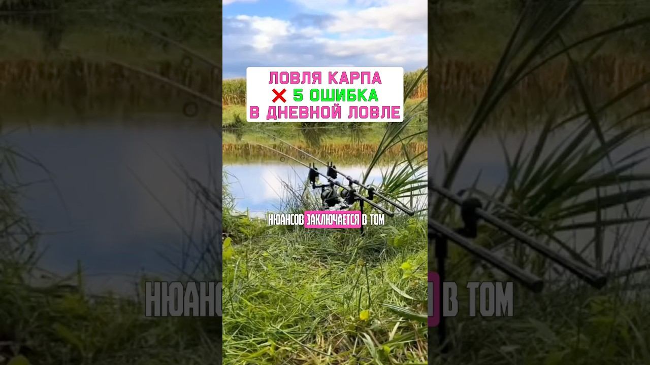 ГЛАВНАЯ ОШИБКА рыбака на карпа и сазана. Карпфишинг 2025 смотреть онлайн