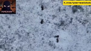 Штурмовики огнём не дали группе ВСУ пересечь открытку