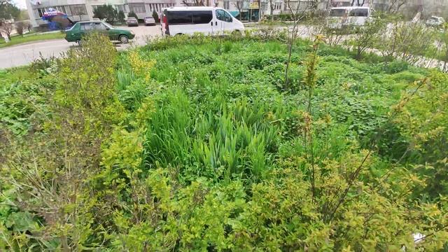 Один из дней города Евпатории | 19 апреля 2021 г | Крым | ХАН БАТОН XAH 6ATOH | VID_20210419_141713 смотреть онлайн