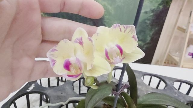 140 смотреть онлайн