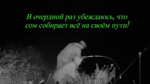 Рыбалка на сома #клёвыйкадр #ночнаярыбалка #сом #рыбалканадонку #доннаяснасть