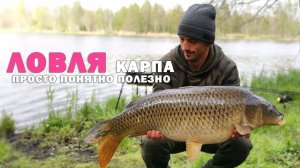 ПРЯМОЙ ЭФИР!! Как ловить много карпа. Карпфишинг 2026