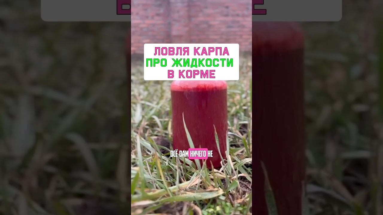 Сколько и какие жидкости лить в прикормку на карпа? #карпфишинг #LunaBaits смотреть онлайн