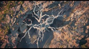 Король Лев мультфильм нарезка для детей и детишек#2026