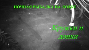 Ночная рыбалка с лодки! #клёвыйкадр #ночнаярыбалка #рыбалкаслодки #сом #щука #рыбалканакружки