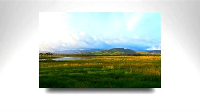 Minich - Authentic смотреть онлайн