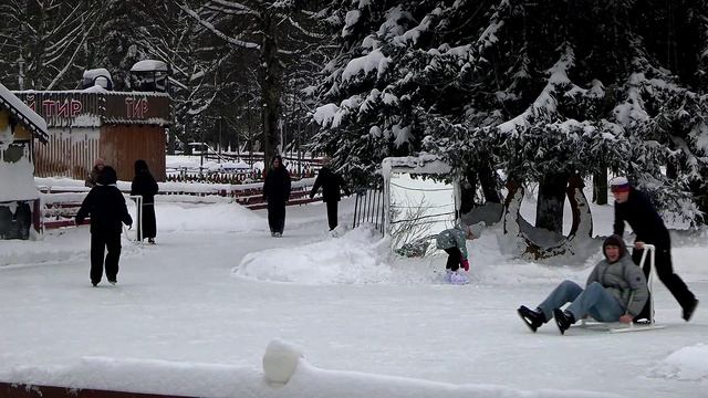 Действующие в Тверской области меры демографической поддержки могут быть расширены смотреть онлайн