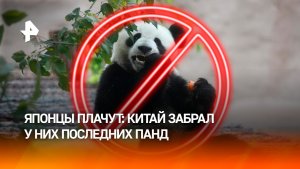 Японцы плакали, прощаясь с последними пандами в стране