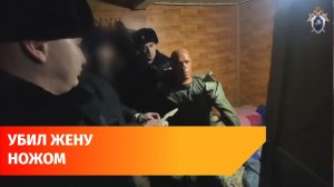 В Башкирии арестовали мужчину за убийство бывшей жены и нападение на дочь