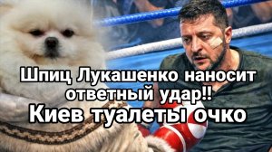 ШПИЦ ЛУКАШЕНКО НАНОСИТ ОТВЕТНЫЙ УДАР! КИЕВ ТУАЛЕТЫ ОЧКО ВО ДВОРАХ