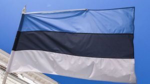 Посольство: Эстония пытается ограничить судоходство России в Балтийском море