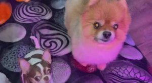 Доброго всем утречка и веселого начала дня.