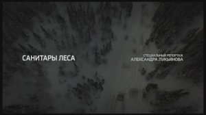 Санитары леса. Специальный репортаж Александра Лукьянова