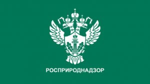 Росприроднадзор готовит предостережение после проверки пирса на Истринском водохранилище