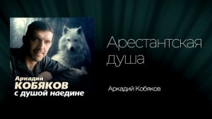 Аркадий Кобяков - Арестантская душа
