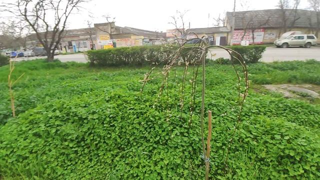 Один из дней города Евпатории | 15 апреля 2021 г | Крым | ХАН БАТОН XAH 6ATOH | VID_20210415_133018 смотреть онлайн