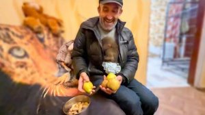 Люся спряталась от меня и Ангелины вместе с яблоками У Влада В КУРТКЕ!