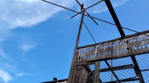 омская область покупайте голубей телефон в комментариях