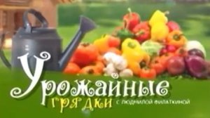 Архив ГТРК "Кузбасс". Урожайные грядки (2005)