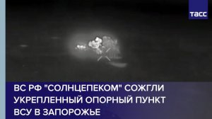 ВС РФ "Солнцепеком" сожгли укрепленный опорный пункт ВСУ в Запорожье
