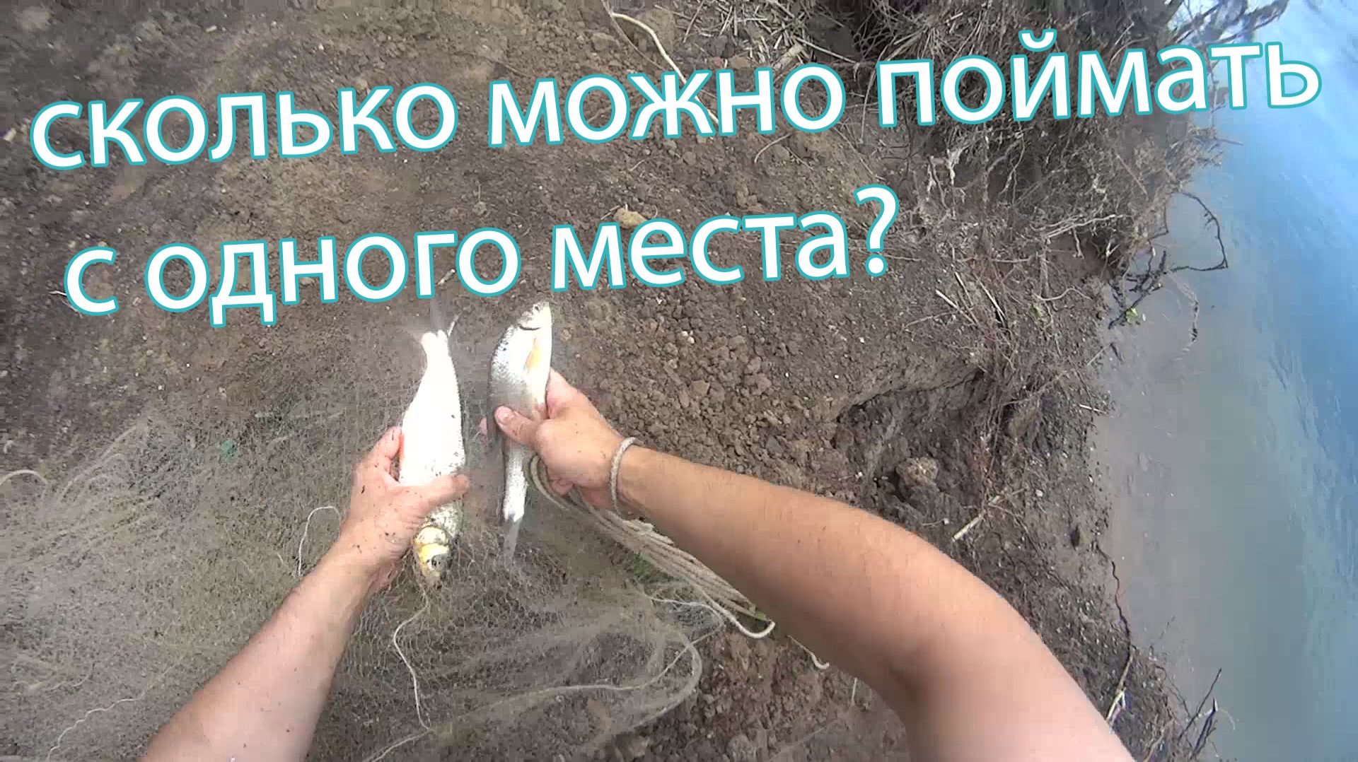 На рыбалку! На минске! Ловля на самодельную кастинговую сеть! смотреть онлайн