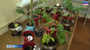 Вести Дагестан 26.01.26 г. 21.15