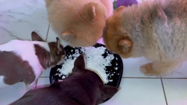 Очень полезный и вкусный перекус. смотреть онлайн