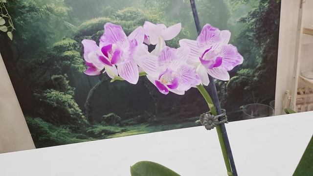 615 смотреть онлайн