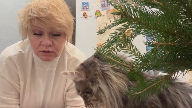 Этот день нельзя забывать. Распаковка. смотреть онлайн