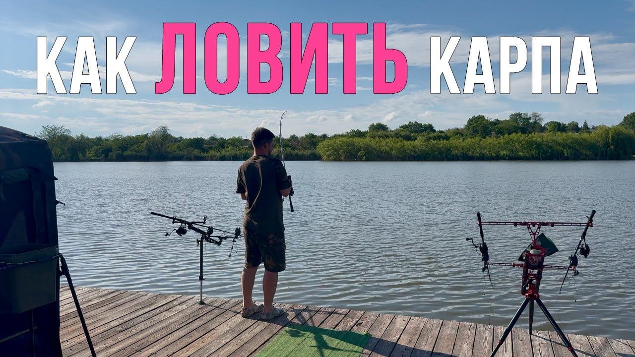Соревнования. Поймали 110 рыб. Как ловить карпа? Карпфишинг 2025 смотреть онлайн