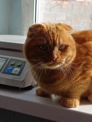 первое моё видео на рутубе