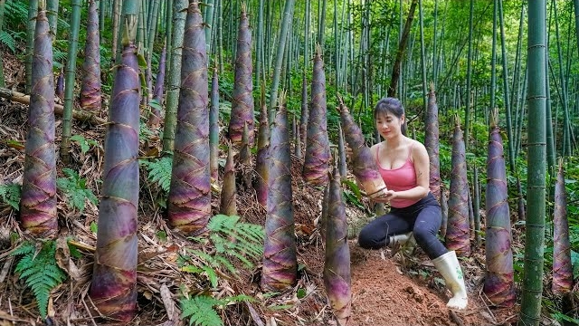 Собираю свежие побеги бамбука в глубине леса и продают их в свежем виде местным жителям. Нхат смотреть онлайн