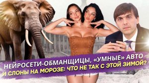 Зимний апокалипсис по-русски: беглый слон, глючные будильники и сиамские близнецы