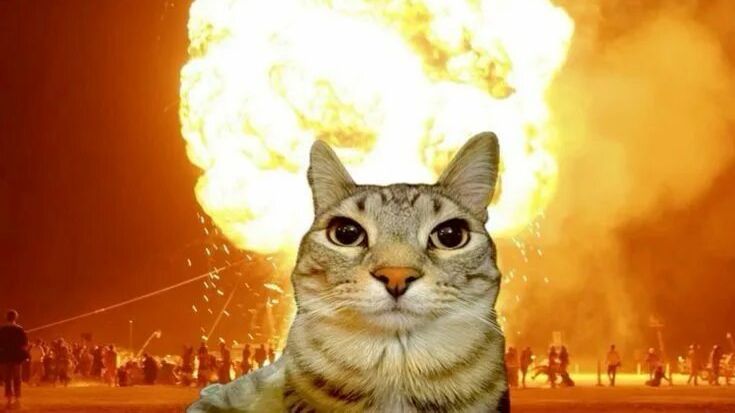 Сбеги от цунами ради брейнротов смотреть онлайн