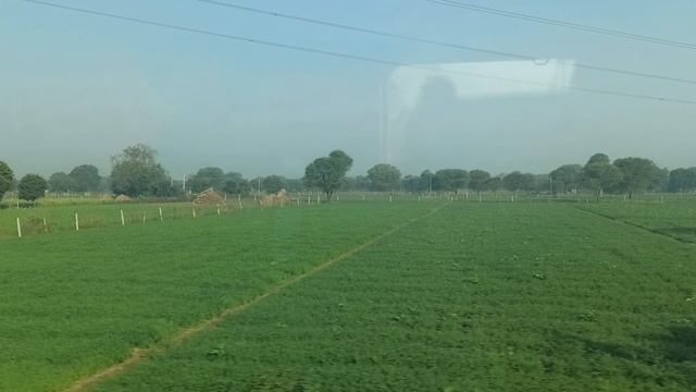 Оттенки зелёного за окном! смотреть онлайн