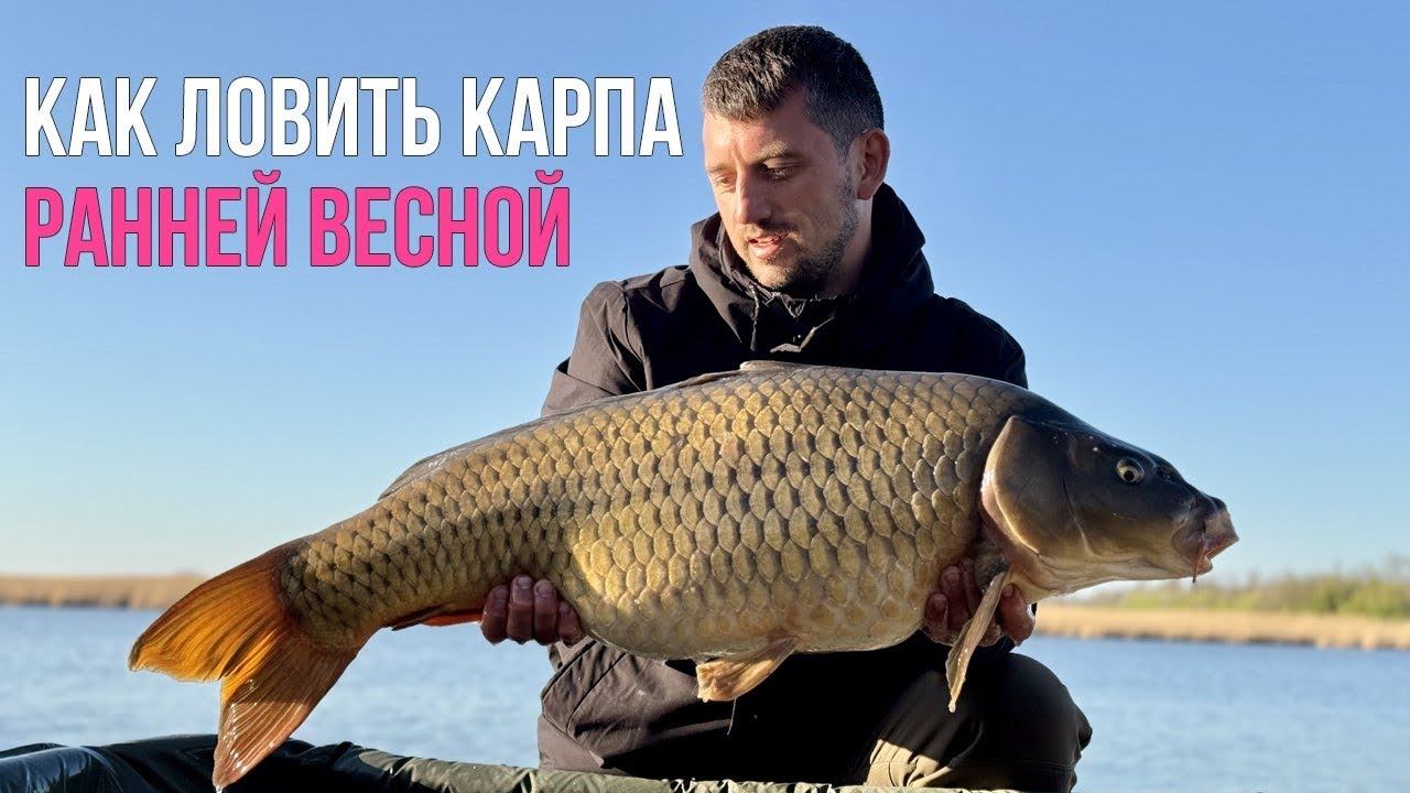 Ловля карпа СОРЕВНОВАНИЯ. Тяжелая победа. Как ловить ранней весной? Карпфишинг смотреть онлайн