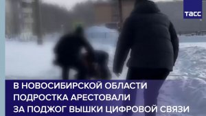 В Новосибирской области подростка арестовали за поджог вышки цифровой связи