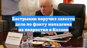 Бастрыкин поручил завести дело по факту нападения на подростка в Казани