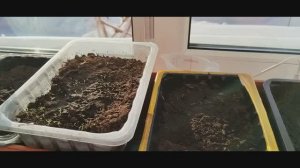 Всё плохо, машина сломалась, планы рухнули. Не покупайте.