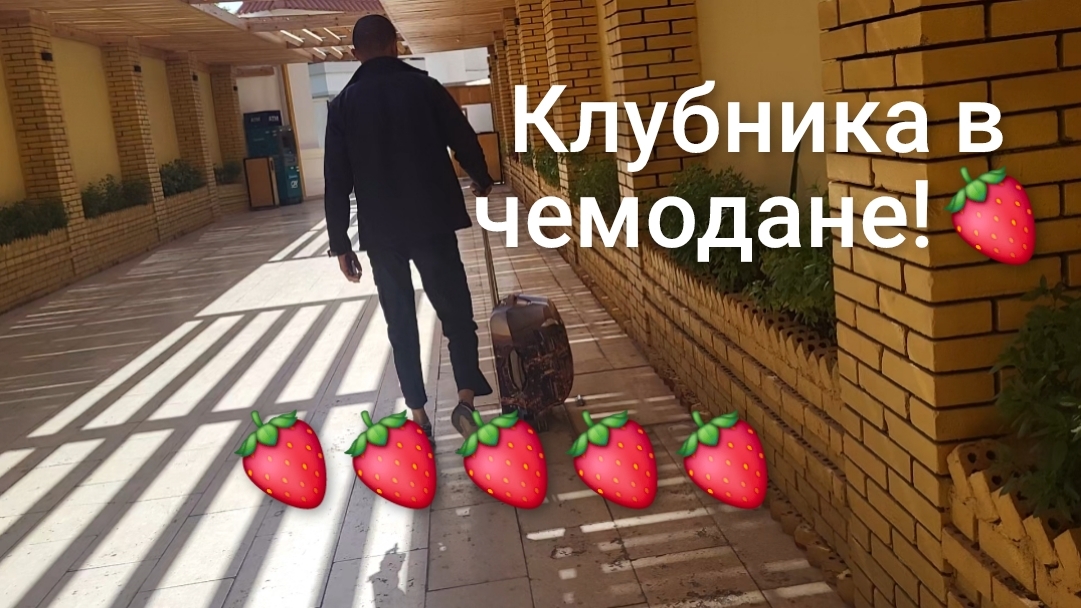 Улетаю из Египта!✈️Как проводил отель,срезают ли браслеты!🤔 смотреть онлайн