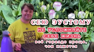 И снова про эустому. Сейте низкорослую - ещё не поздно!