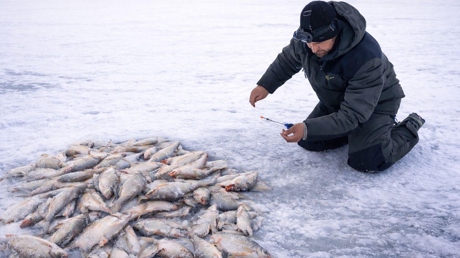 ЯМА ЗАБИТА КРУПНОЙ ГУСТЕРОЙ. КЛЁВ ТАКОЙ, АЖ УСТАЛ ЛОВИТЬ. ЛОВЛЯ НА ШАРИК И НА ДОНКУ. Астрахань. смотреть онлайн