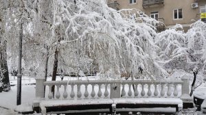 ДОБРОЕ УТРО! СРЕДА! ВАСЕВСКИЕ ЗА СТОЛ -КОПЫТА НА СТОЛ!