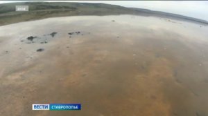 Солёное озеро на Ставрополье проверят специалисты