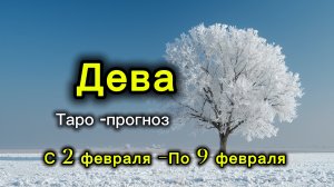 ДЕВА 💖ТАРО ПРОГНОЗ ‼️02.02-09.02(2026) #прогноз #таро #дева