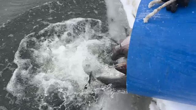 28-01-2026 смотреть онлайн