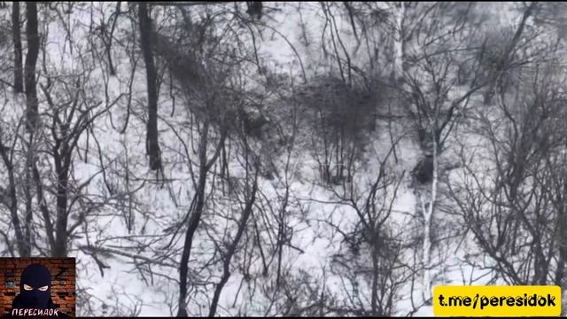 Сказка про трёх поросят с неожиданным концом смотреть онлайн