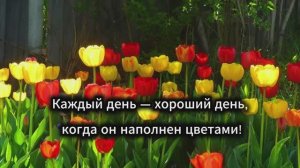 Каждый день - хороший день,когда он наполнен цветами...