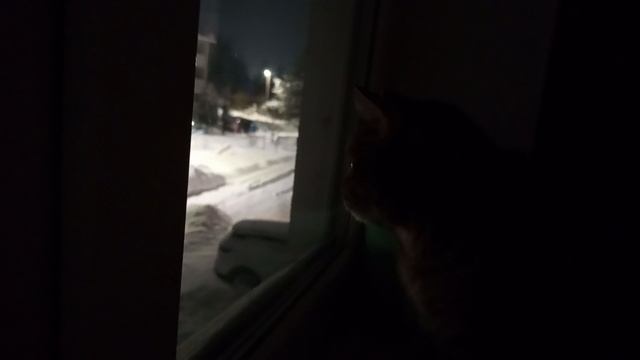 Техника 🚜 и снег❄️❄️❄️
Вечер 28 января 2026 г. смотреть онлайн